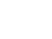 Damascus Logo